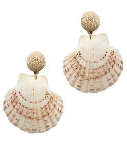 Neutral Seashells